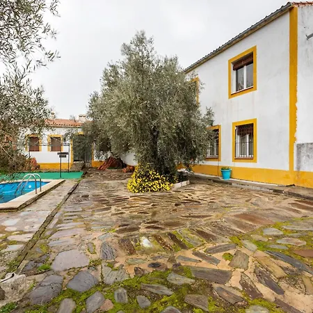 Expansive With Private Pool